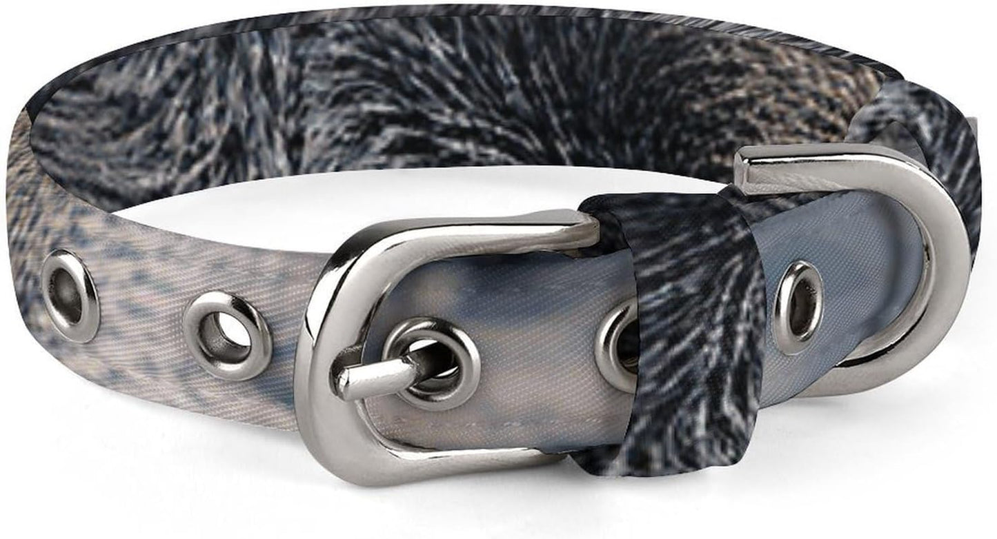 Cats with Yellow Eyes Dog Collar with Buckle Adjustable Martingale Pet Collars Cute Female Male Puppy Collar Soft Waterproof Cat Collars for Small Medium Dogs