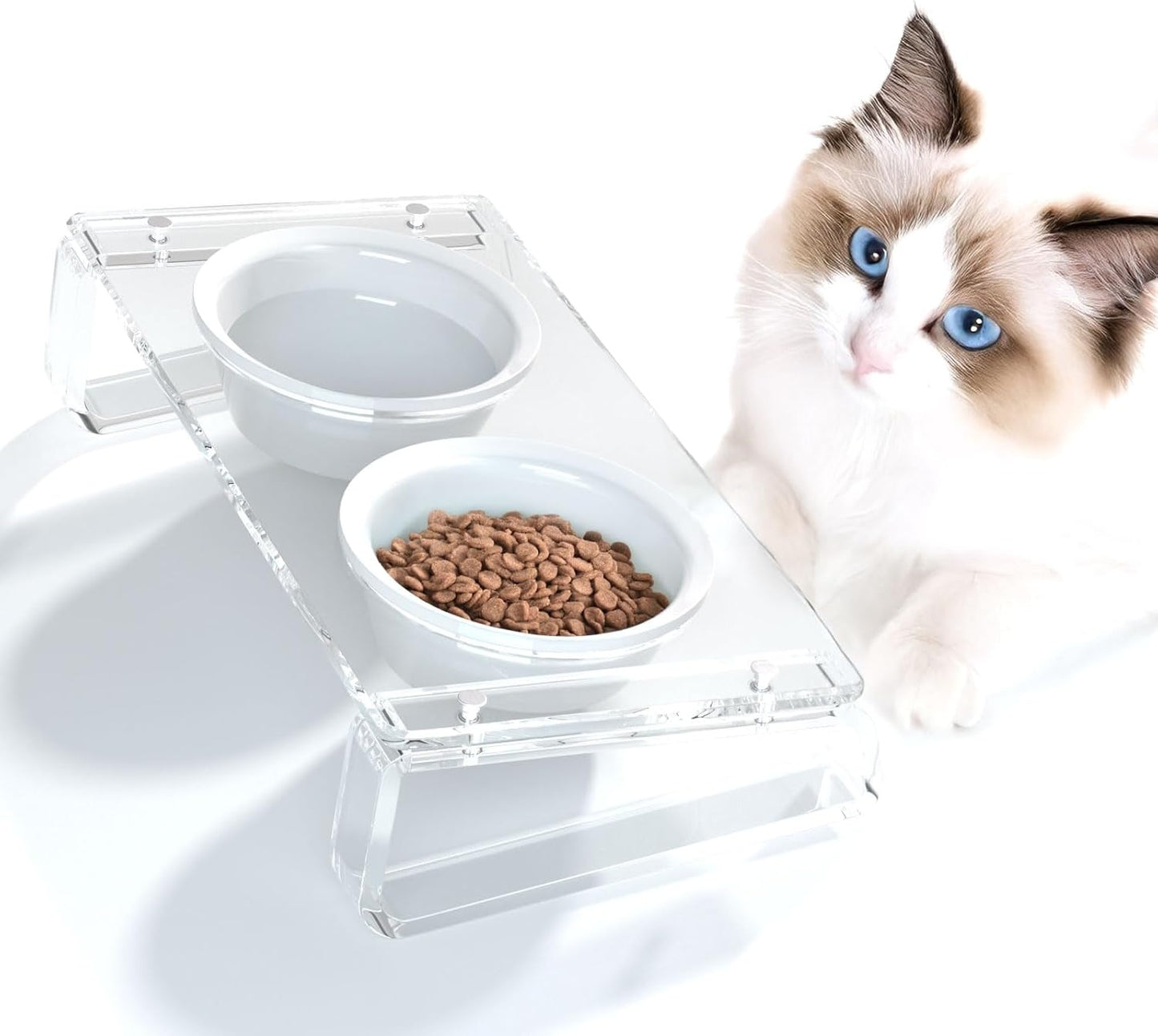 AITEE Elevated Cat Food Bowl, Ceramic Raised and Tilted Water Bowl, Non-Slip Ceramic Dog Bowls for Puppy and Kitten Cats 45.8 OZ
