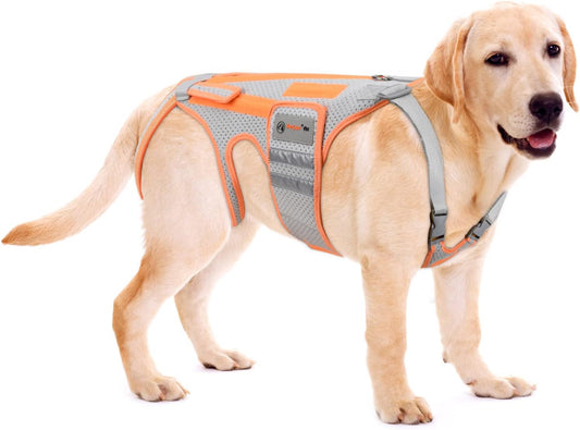 Dog Back Brace for Arthritis, Dog Hip Brace for IVDD, Frame Support Harness for Back，Keeps The Back Stable and Reduces Movements and Pains (XXL)