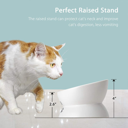 Cat Food Bowls, 10 OZ Elevated Cat Bowls for Cats and Small Dogs, Tilted Pet Feeder Bowl with Raised Stand Protect Cat's Spine, Ceramic Cat Water Bowl No-Spill, Stress Free Cat Dish 2pcs