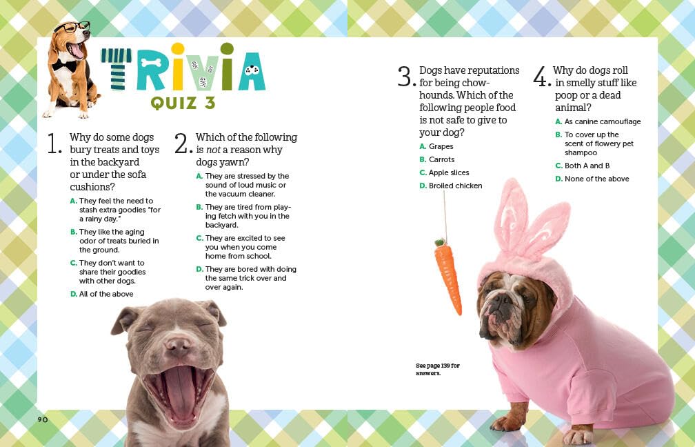 A Kid's Guide to Dogs: How to Train, Care for, and Play and Communicate with Your Amazing Pet!