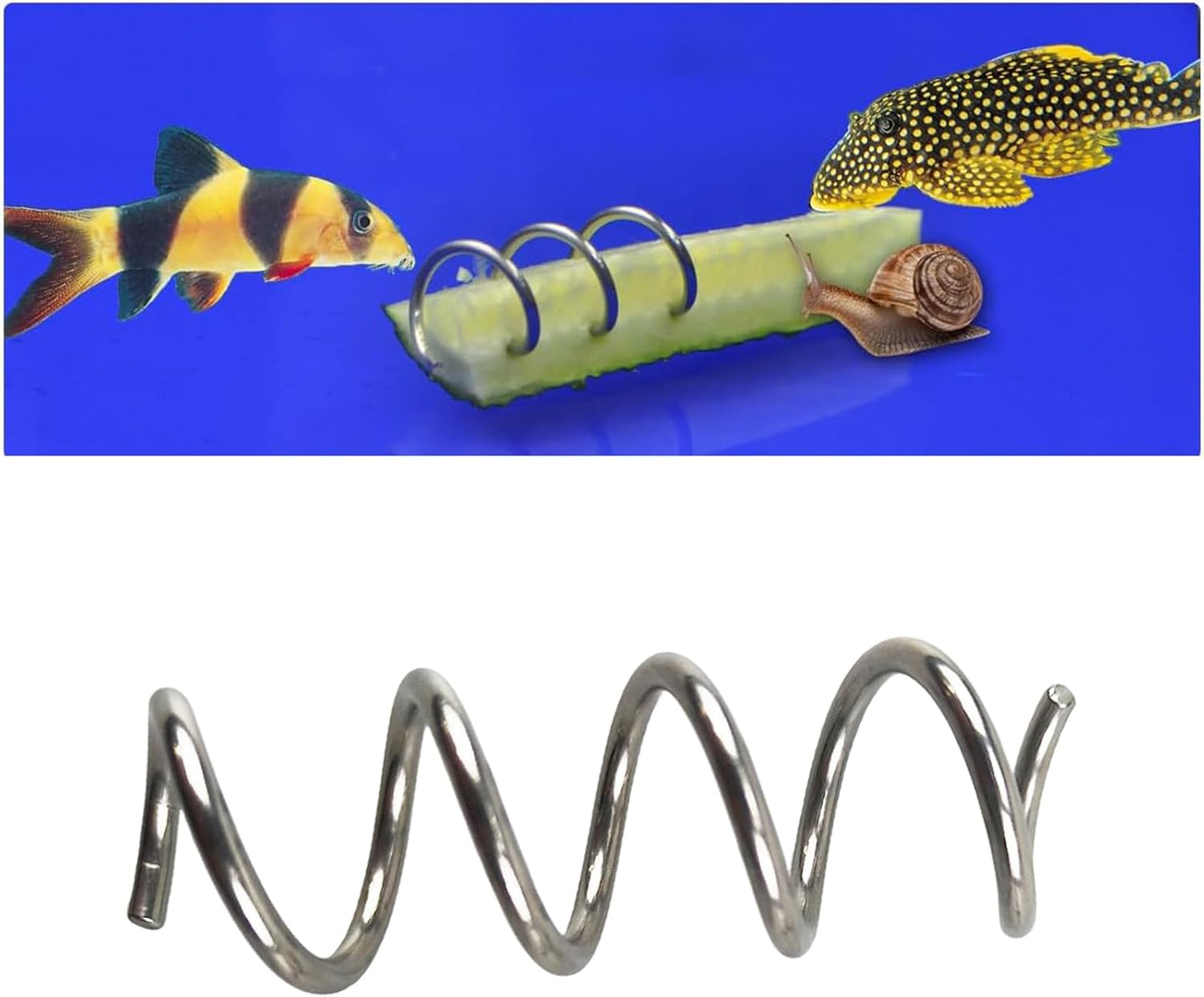 Fish Tank Aquarium Vegetable Feeder, Bottom Sinking Loach Feeder, Aquarium Vegetarian Feeder, Malawi Cichlid Snail Fresh Food Holder for Bottom Feeders 1 Pack