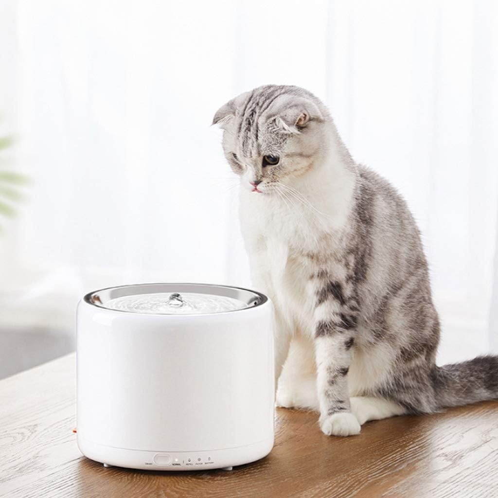 Pet Water Dispenser Stainless Steel 1.35L Automatic Pet Water Dispenser with LED Automatic ShutOff Pump Water Dispenser