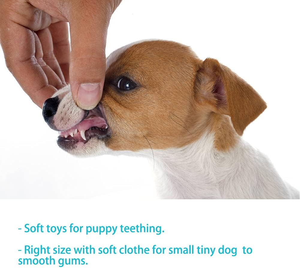 Puppy Toys for Teething Puppies, Puppy chew Toys for Small Dogs, Squeaky Bunny Dog Toys for Puppies, Small Puppy,Pink, 4pcs