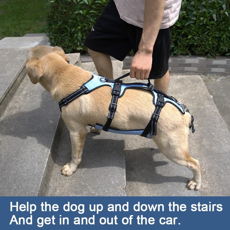 Coodeo Dog Lift Harness, Full Body Support & Recovery Sling, Pet Rehabilitation Lifts Vest for Old Dog with Arthritis Walk(Bule,L)