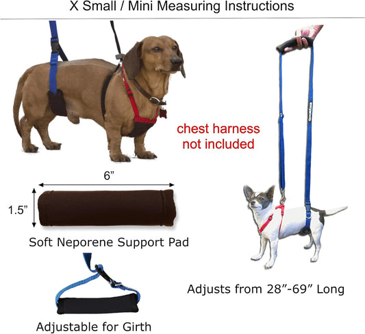 GINGERLEAD Dog Support Sling Harness, X-Small Fits Little Pets Under 25 lbs or Dachshunds with IVDD, Spinal Disc Disease, or Back Injuries. Assist Old or Recovering Pets. Chest Harness NOT Included.
