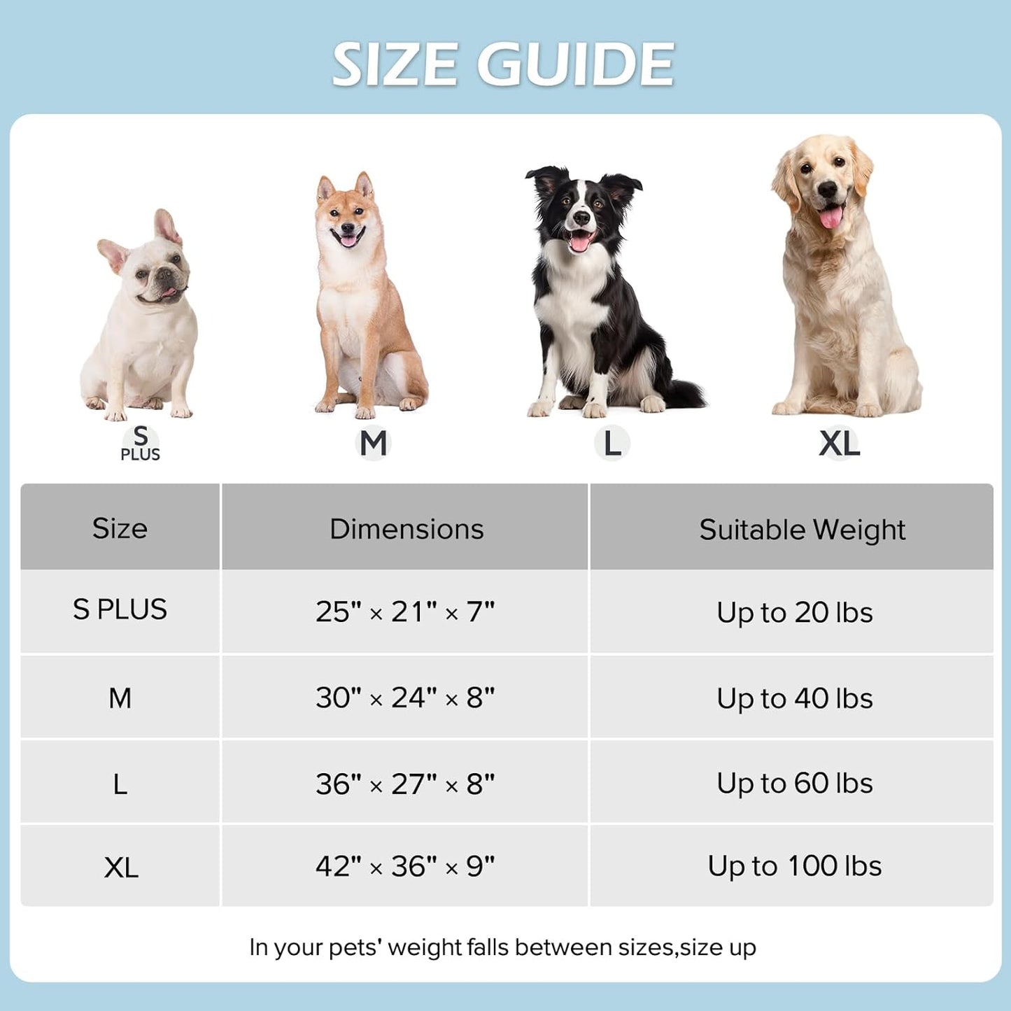 JOEJOY Cute Dog Bed Medium Size Dog, Rectangle Soft Furry Dog Beds for Large Medium Dogs, Washable Orthopedic Pet Bed with Removable Zipper Cover, Blue