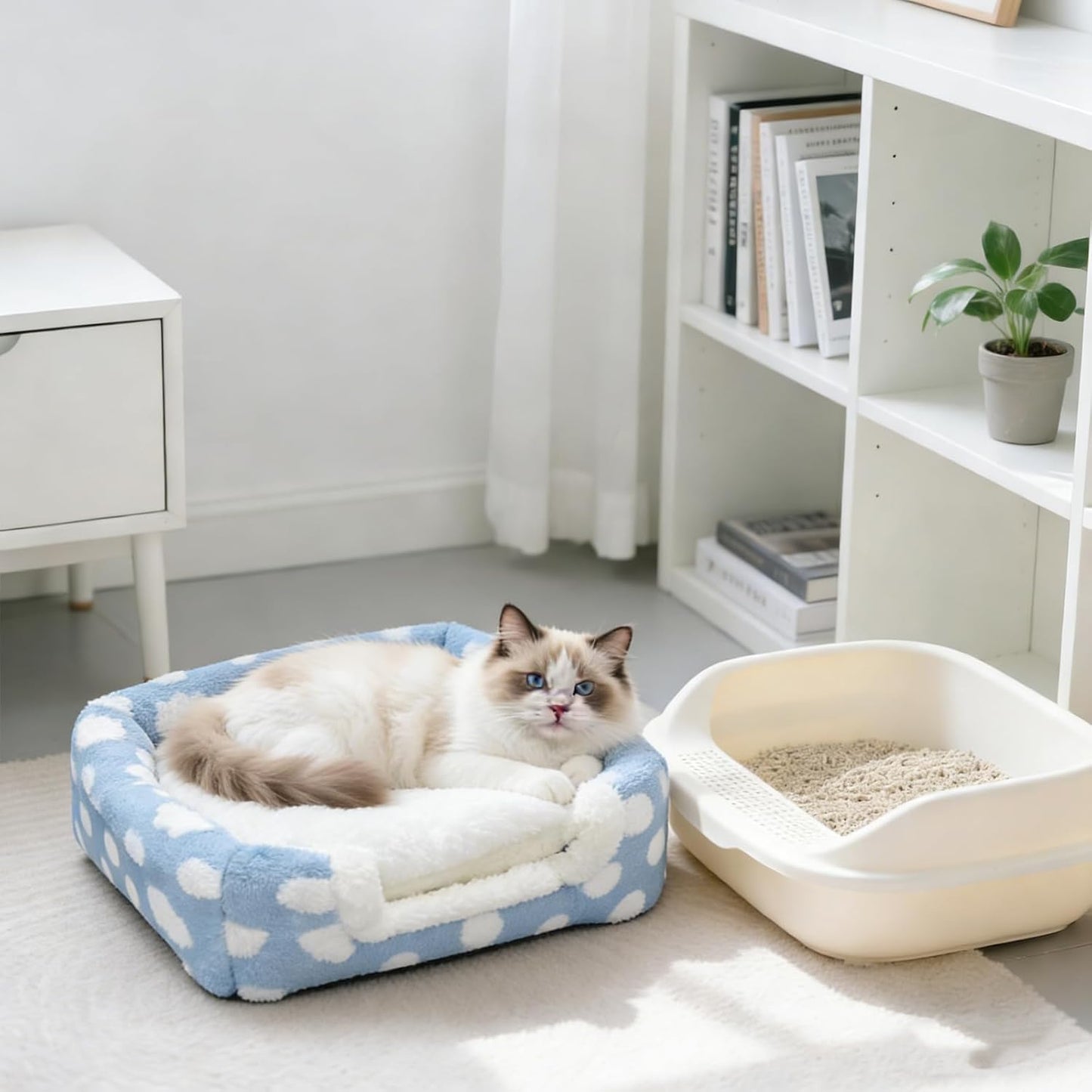 Enclosed Cat Bed Cat Cave for Indoor,Pet Beds Cats House Winter Warm Cozy Tent Washable Small Plush Houses for Soft Kitty Nest Kitten Furniture Removable Cushion Gatos Sleeping Hut