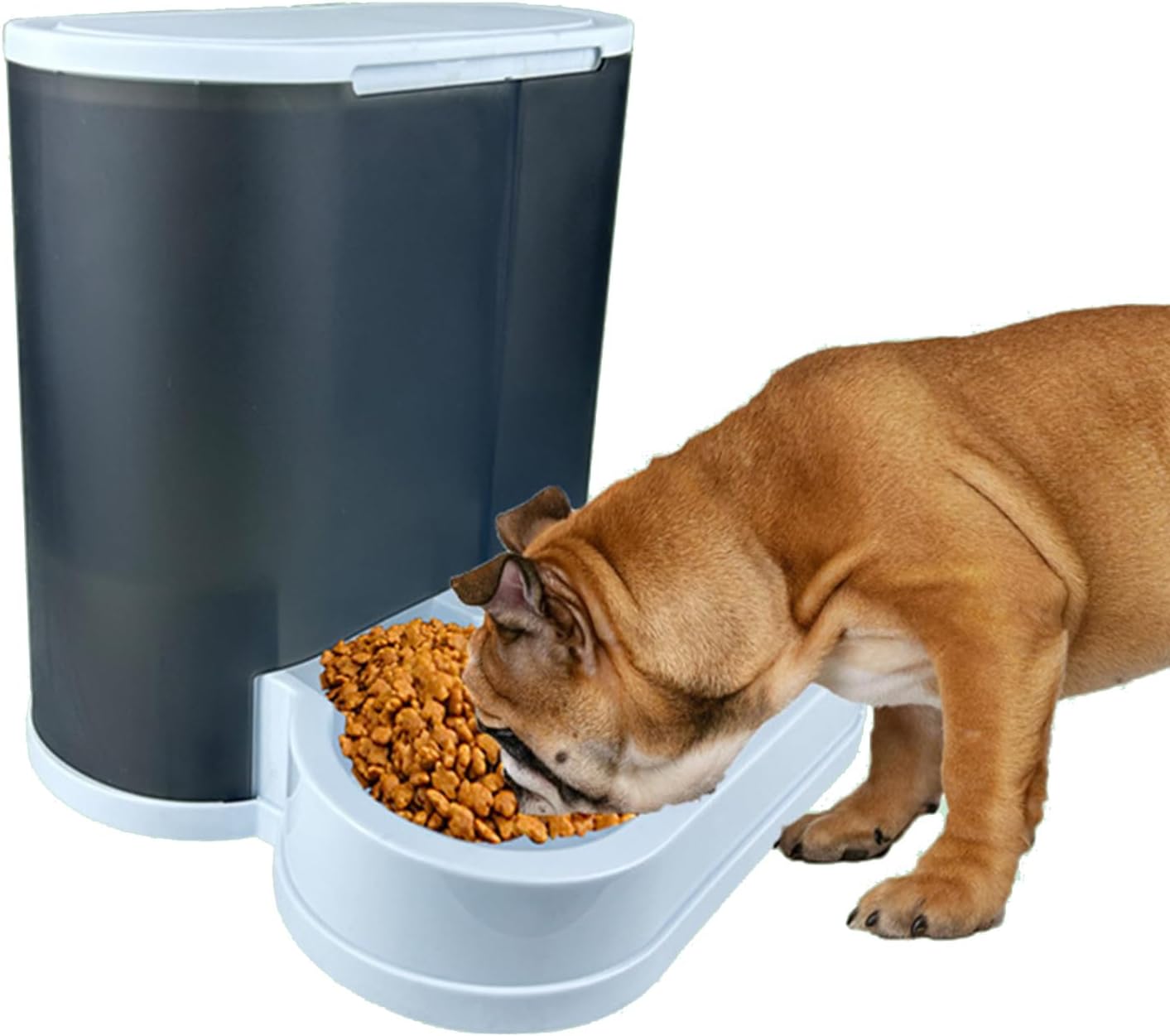 Automatic Food Feeders Cats Bowl Dog Food Feeders Water Dispenser Watering Supply Home Pet Accessories