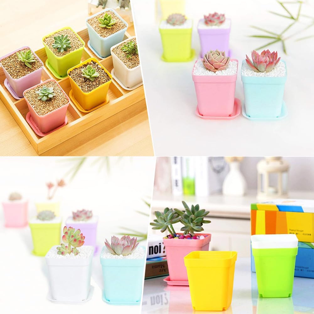 Haawooky 24 Pack Colorful Flower Pots Square Plastic Plant Pots Succulent Planter Nursery Pots with Saucers for Your Room,Garden Office and Balcony Decor