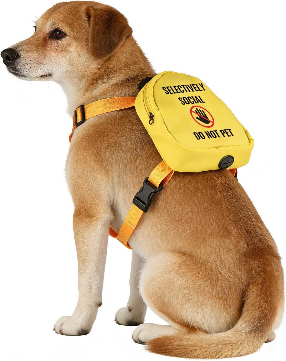 Social Anxiety Dog Travel Bag Selectively Social Do Not Pet Backpack Dog Walking Slogan Puppy Snack Storage (Selectively Social)