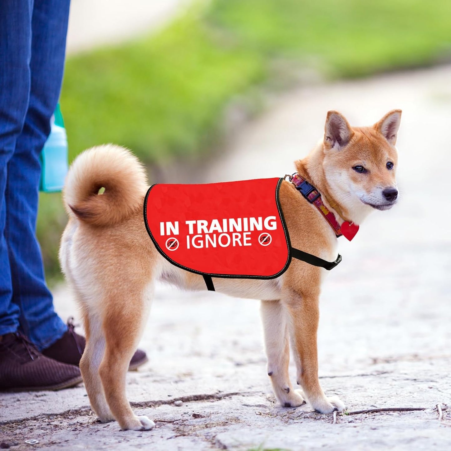 JXGZSO in Training Ignore Dog Jacket Vest Nervous Anxious Dog in Training Slogan Warning Vest (in Training Ignore L)