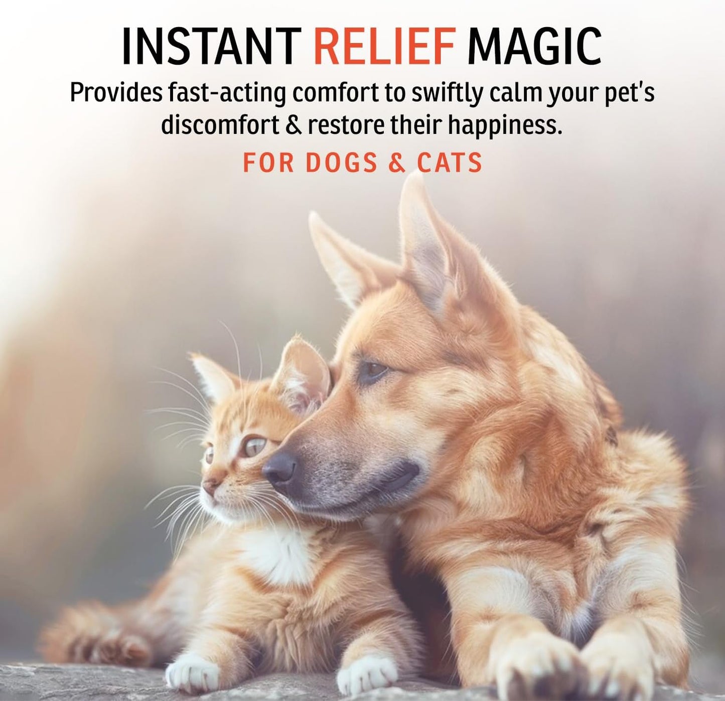 Dog Itch Relief Shampoo by EnviroFresh, Skin Relief Spray, Paw Relief Lotion for Dogs & Pets, Natural, Sensitive Skin, Anti Itch for Dogs