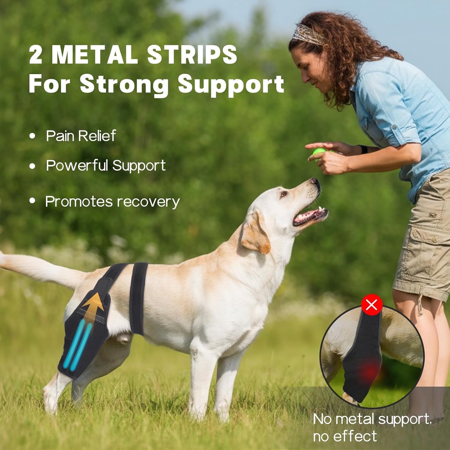 Dog Knee Brace–Adjustable Support Brace for Torn Acl Hind Legs with 2 Stabilizer Support to Reduces Pain, Ligament Injuries & Luxating Patella for Small Medium Large Dogs (Left Leg, M)