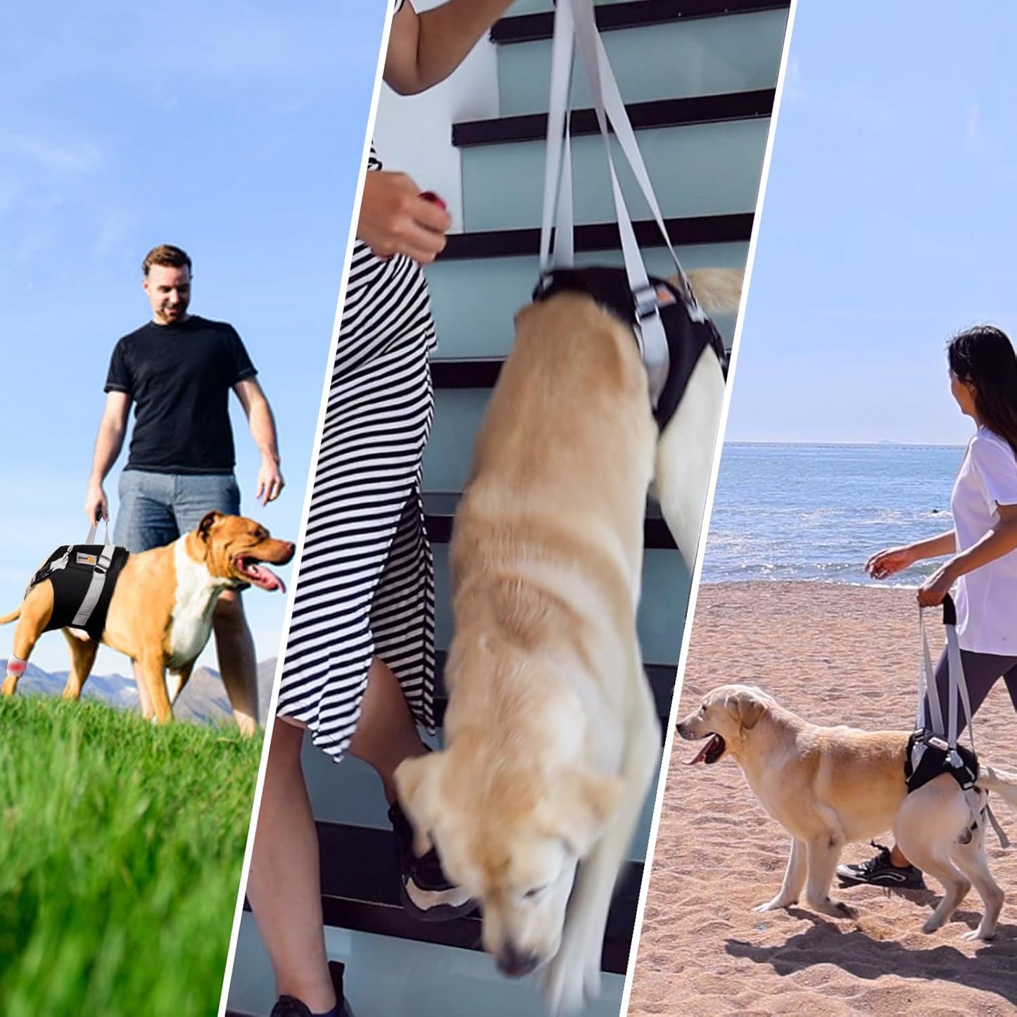 Dog Lift Harness for Medium Dogs,Dog Sling for Back Legs,with Handle,Rear Leg Support/Walk/Up Stairs/Dogs Joint Injuries/Arthritis