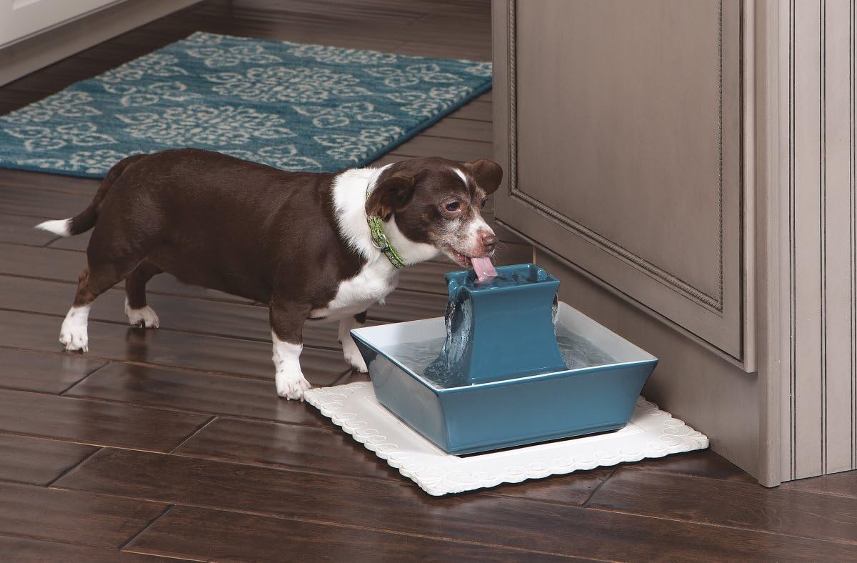 PetSafe Drinkwell Pagoda Fountain - Hygienic Ceramic Continuous Flowing Fountain - Elevated Upper Bowl & Double Free-Falling Stream Design - Minimalist Pet Hydration Station - 70 oz Capacity