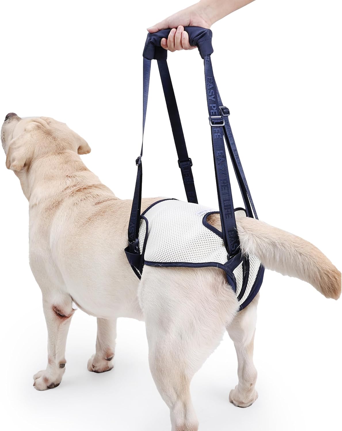 Dog Lift Harness for Back Legs - Adjustable Mobility Aid for IVDD/Paralyzed/Senior Dogs (3-in-1 Sling Design), Comfortable Leg Support, Instantly Help Your Dog Walk Again (Blue, S)