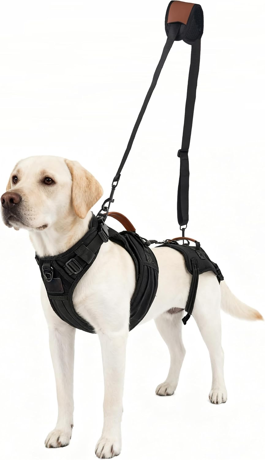 Dog Lift Harness for Male Dogs - 2-in-1 Full Body Support Aid & Sling, Comfortable & Chafe-Free for Post-Surgery Recovery and Elderly Dog Mobility, Hind Leg Assistance, Supports up to 27 Lbs (S)