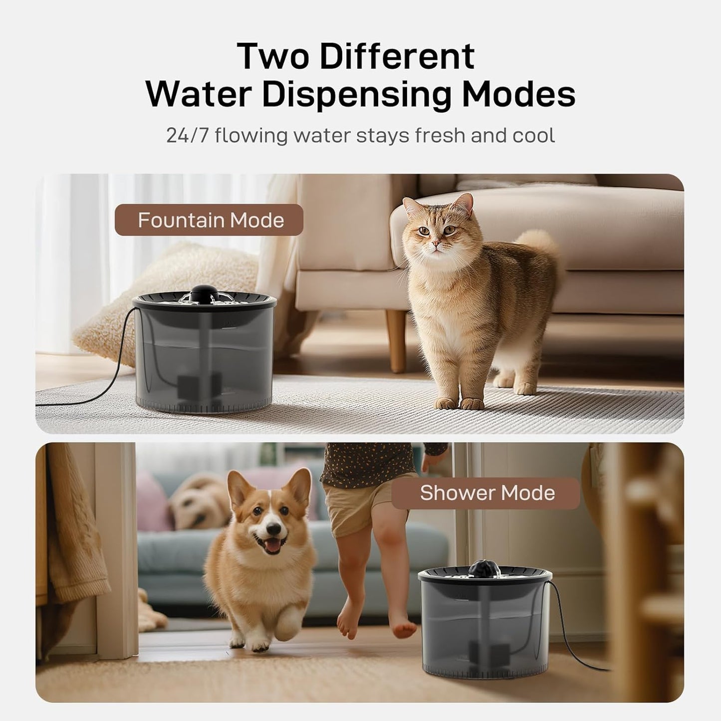 Automatic Cat Feeder and Water Fountain: 3L Timed Precise Cats Food Dispenser& Reliable Programming 1-6 Meals/Day- 3L Cat Water Dispenser with Filter- Auto Pet Feeder Easy to Clean