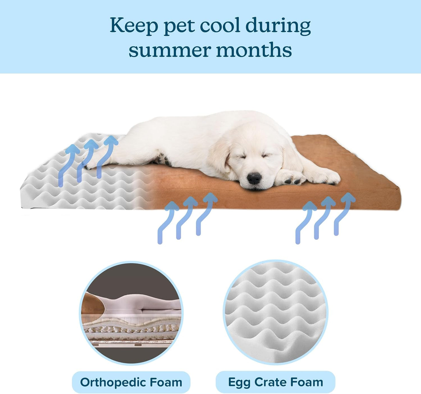 PETMAKER Dog Bed with Removable Cover – 44x35 Pet Bed - 3-Inch Egg Crate Style Foam Orthopedic Dog Mattress, Microsuede, and Non-Slip Crate Pad (Clay)