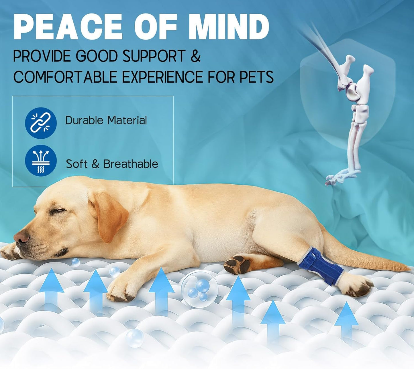 Supet Dog Leg Brace for Back Leg - Hock & Ankle Joint Support for Rear Legs with 2 Metal Springs, Anti-Slip Design & Reflective Trim for Sprain, Arthritis, Injury & Wound Recovery (Blue, L)