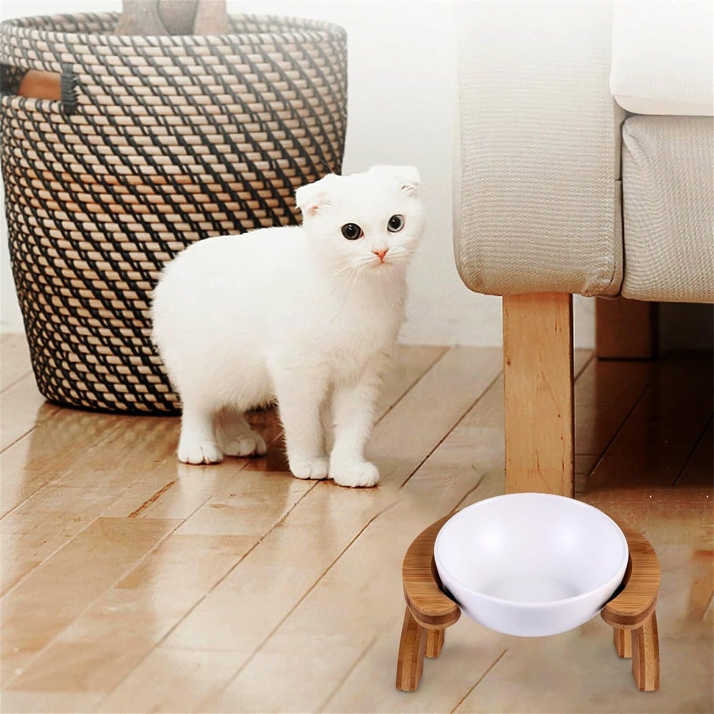 Milisten Pet Feeding Bowl Set 300ml Slanted Raised Cat Feeder with White Food Bowl and Rainbow Wooden Stand for Indoor Cats and Kittens