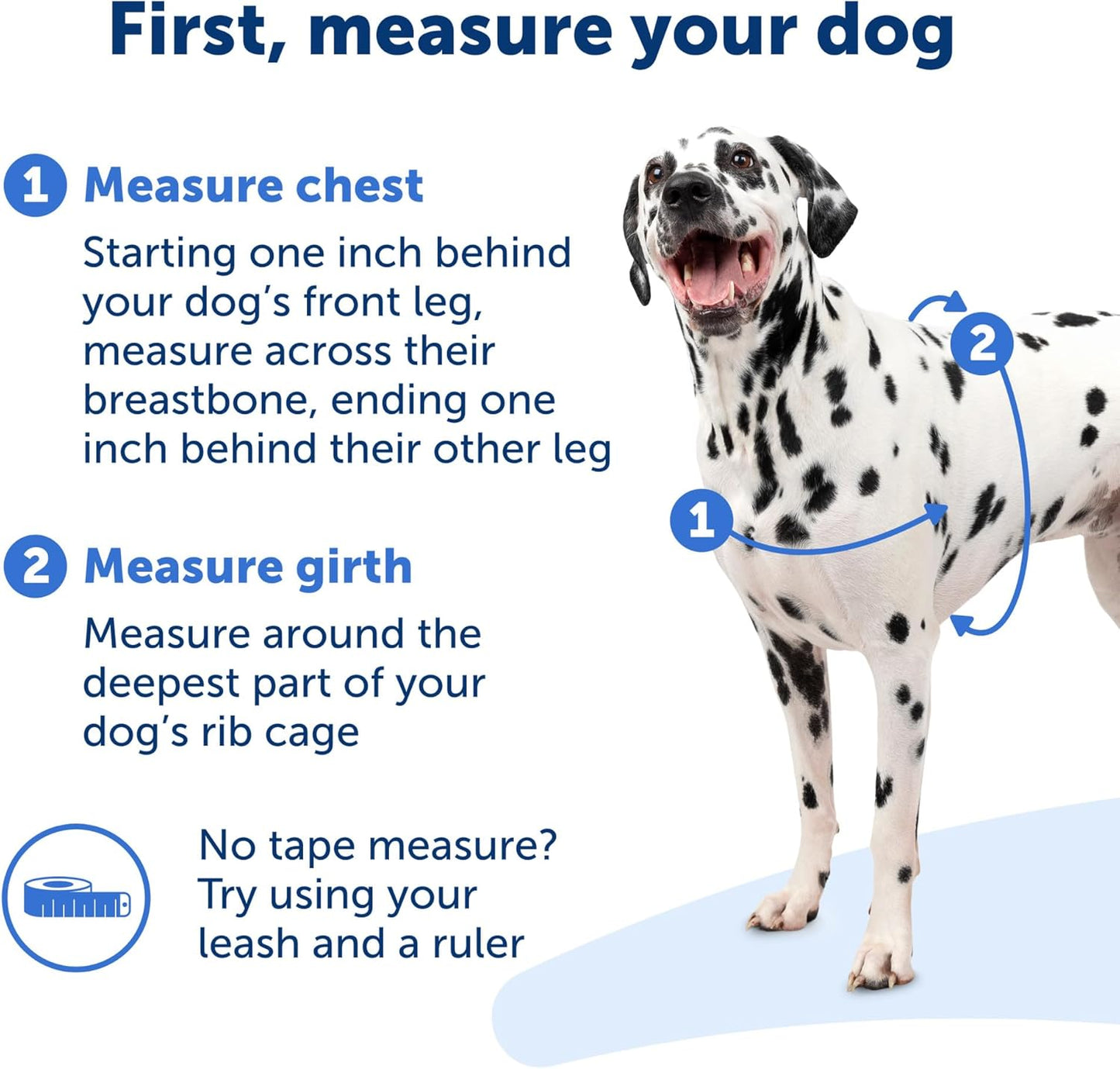 PetSafe Easy Walk No-Pull Dog Harness - The Ultimate Harness to Help Stop Pulling - Take Control & Teach Better Leash Manners - Helps Prevent Pets Pulling on Walks, Medium/Large, Raspberry/Gray