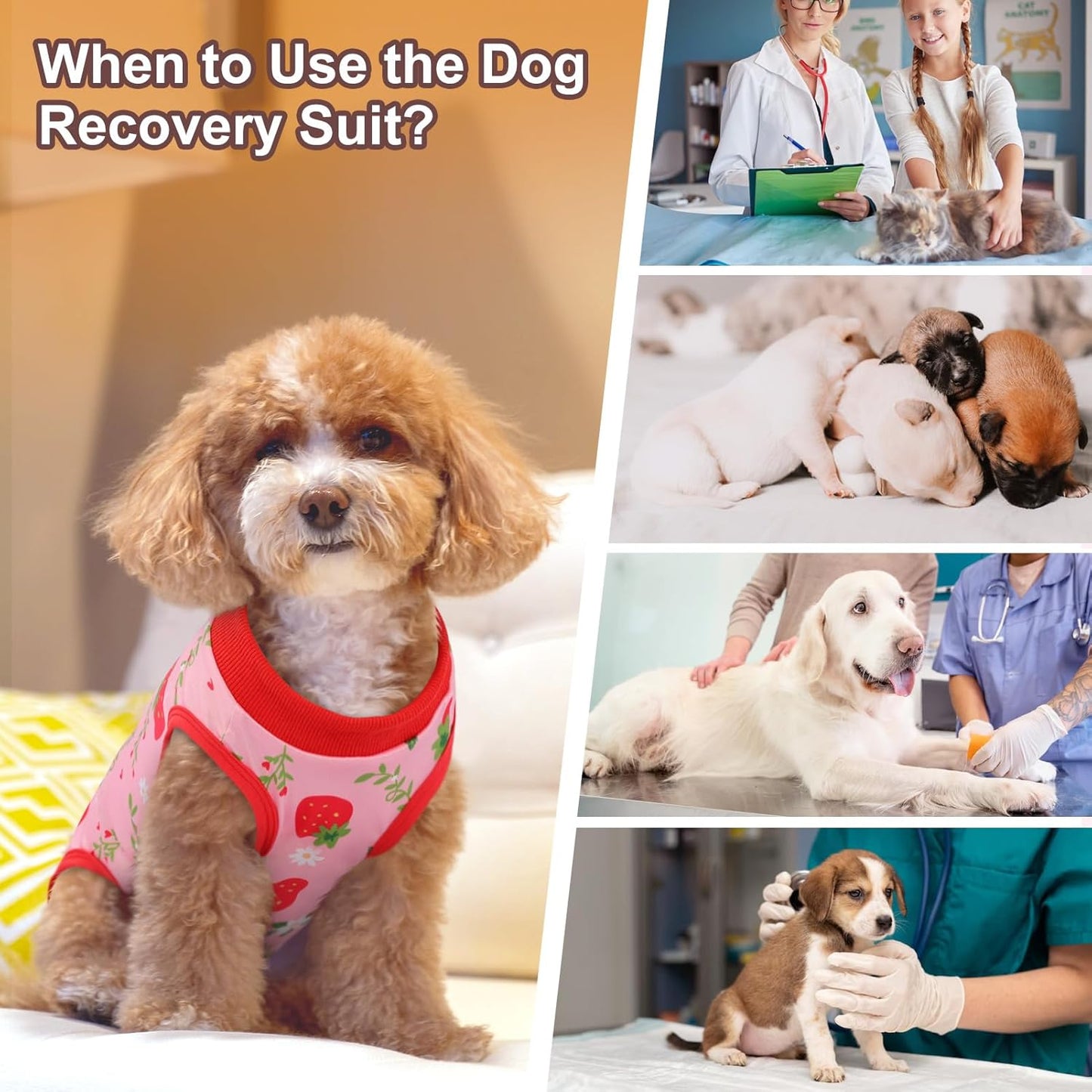 SAWMONG Recovery Suit for Dogs After Surgery, Dog Recovery Suit Dog Spay Surgical Suit for Female Dogs, Dog Onesie Body Suit for Surgery Male Substitute Dog E-Collar (Strawberry,M)
