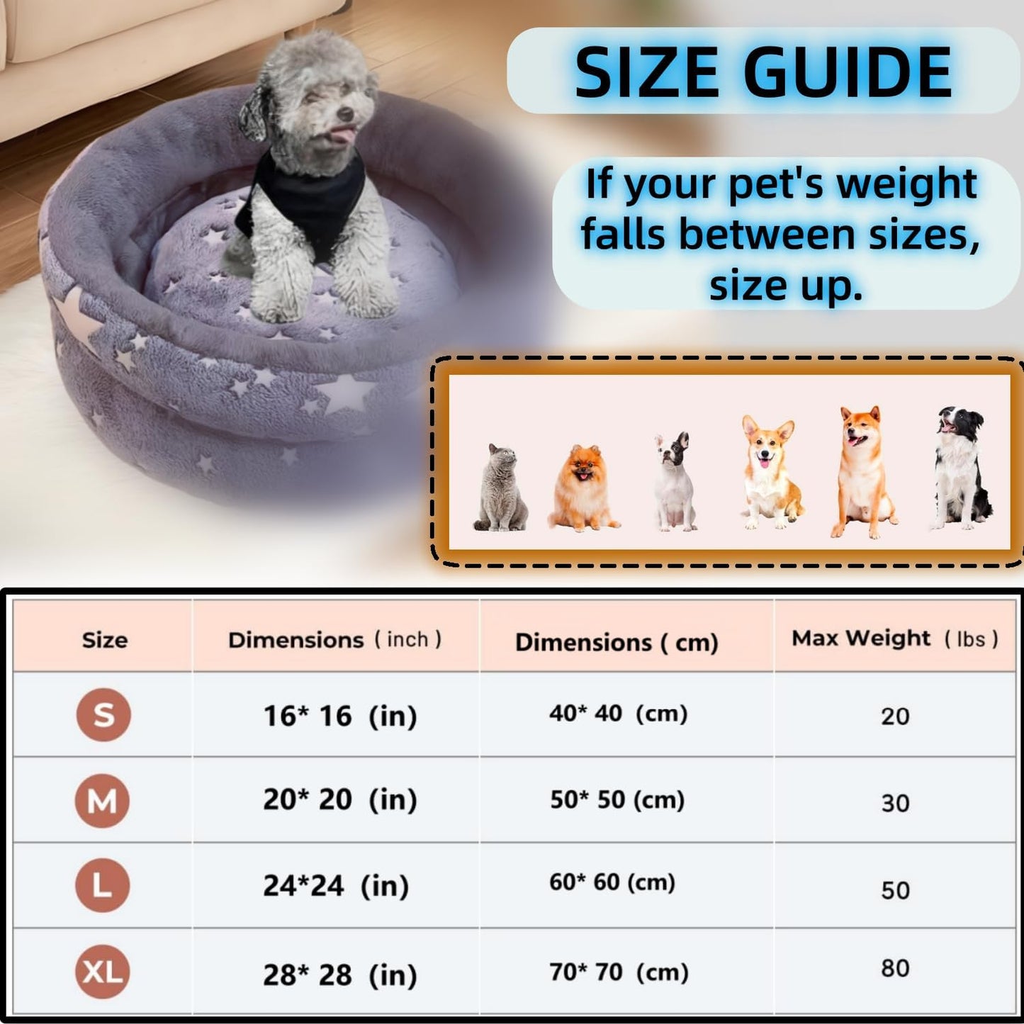 Dog Beds for Small Dogs -Cute Cat Beds for Indoor Cats Calming Pet Beds, Circle Orthopedic Cuddle Puppy Bed with Jacquard Shaggy Plush & Anti Slip Bottom，Dark Grey-Medium