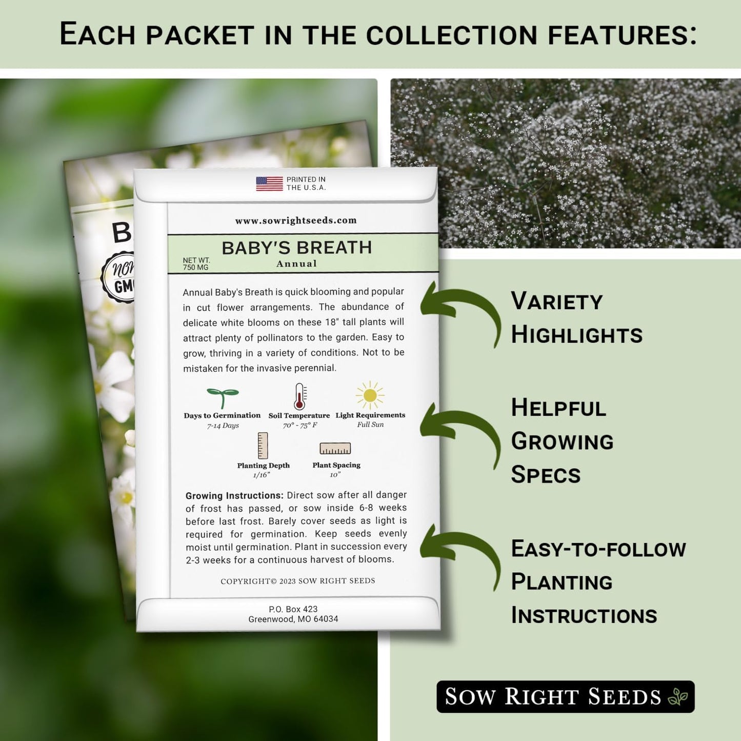 Sow Right Seeds - Baby's Breath Seed Collection for Planting - Annual and Carmine - Non-GMO Heirloom - Gypsophila elegans - Ideal for Garden and Landscape - Easy to Grow - Perfect for Bouquets