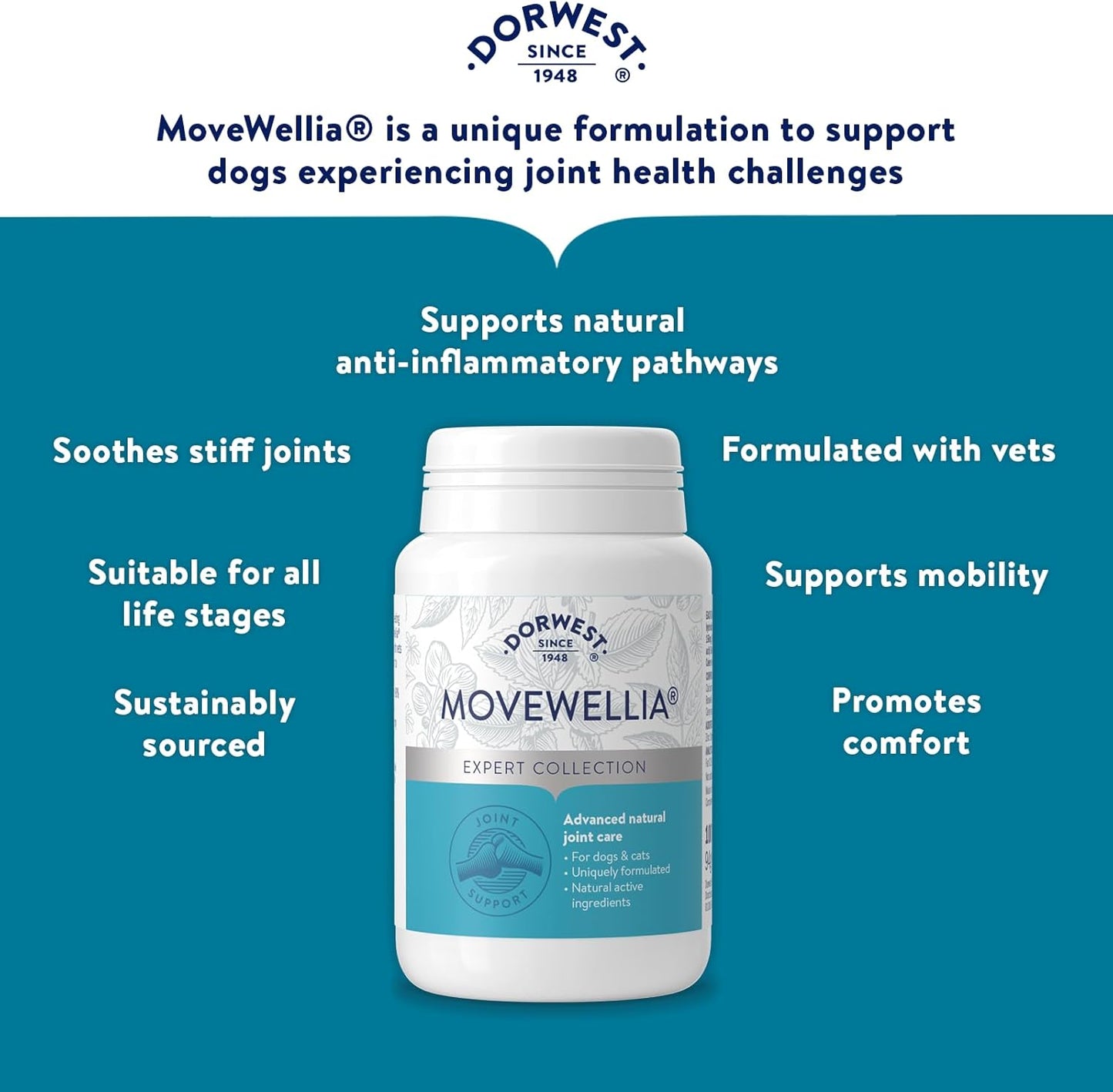 Dorwest MoveWellia 100 Tablets
