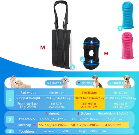 2 Pack Dog Adjustable Lift Harness Sling with Knee Brace for Weak Rear Legs Soft Hind Leg Support for Senior Injured, Disabled Dogs Set-Sling-M + Knee Brace-M with 2 Pack pet touthbrushes