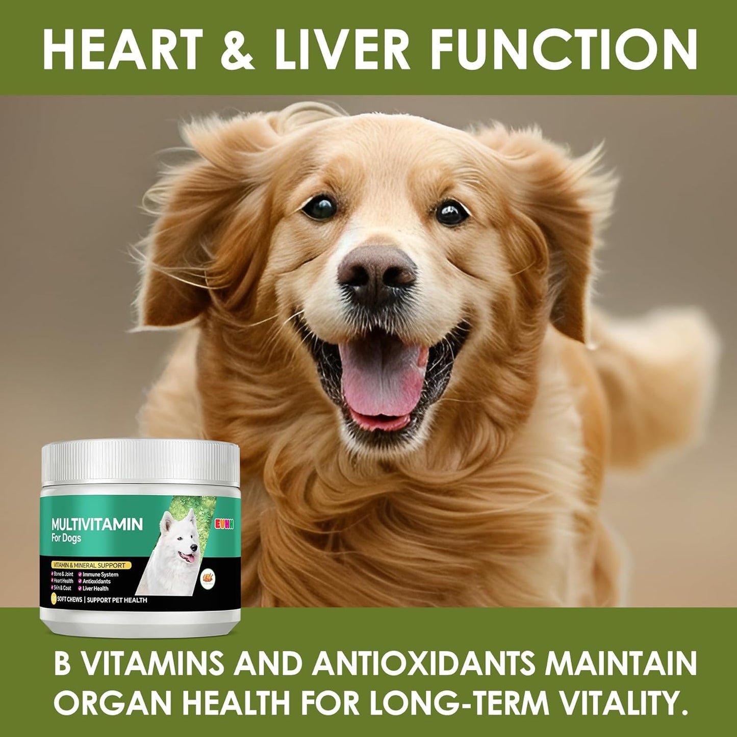 Multivitamin for Dogs，Dog Multivitamin Chews with Essential Vitamins & Minerals - Skin & Coat Health, Immune Support, Heart & Liver Care, Chicken Flavor, 120 Count