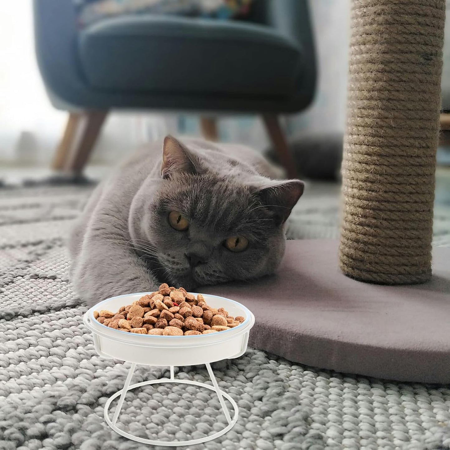 PRETYZOOM Ceramic Elevated Cat Slow Feeder Bowl with Stand, Anti-Choke Raised Pet Dish for Indoor Cats and Puppies, Blue Three-Fish and White Three-line Design