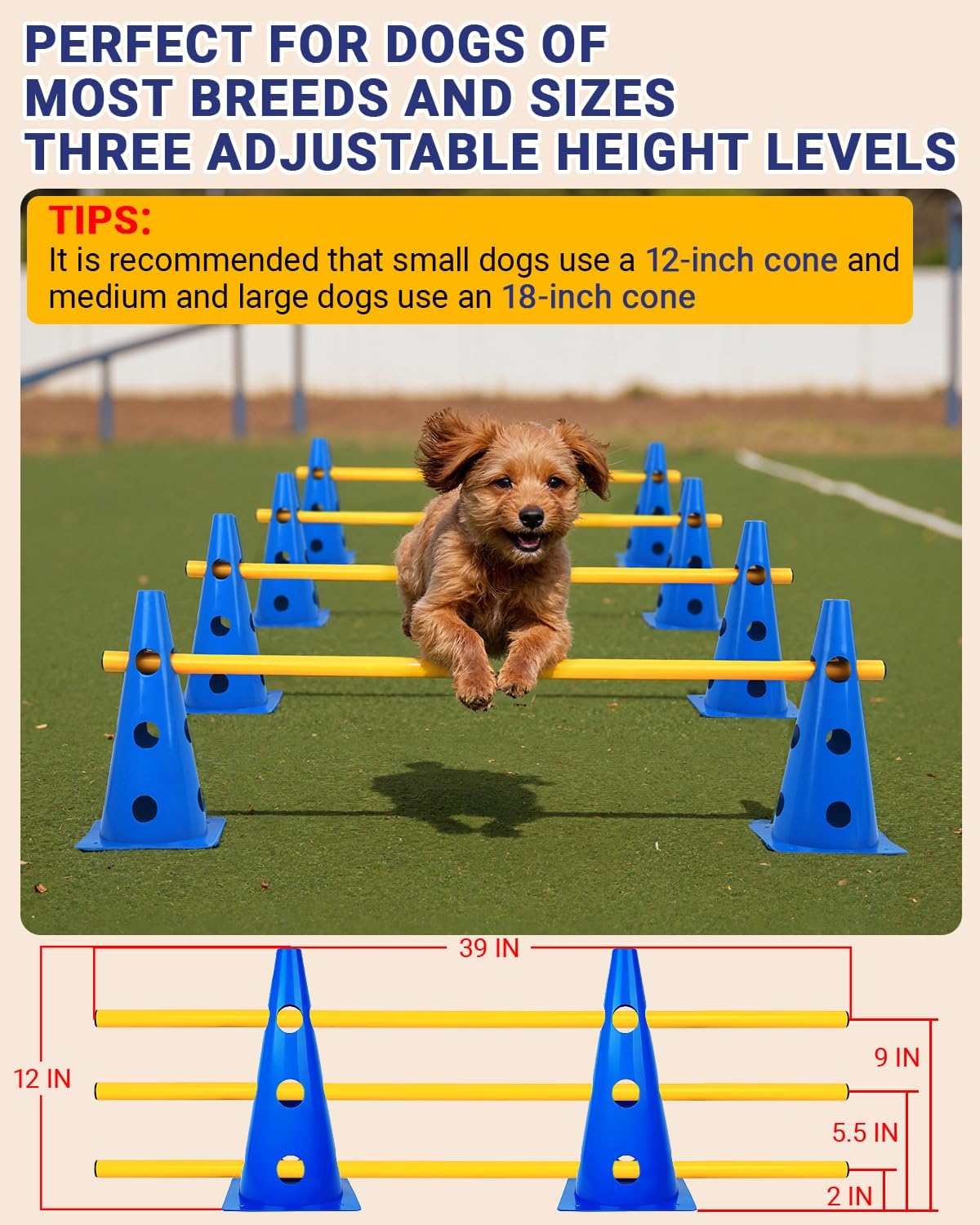 Dog Agility Course Backyard Set, Dog Agility Hurdle Cone Set with Height Adjustable Crossbar for Rehabilitation & Beginners, Dog Agility Equipment for Dog Obstacle Course - 12 Inch