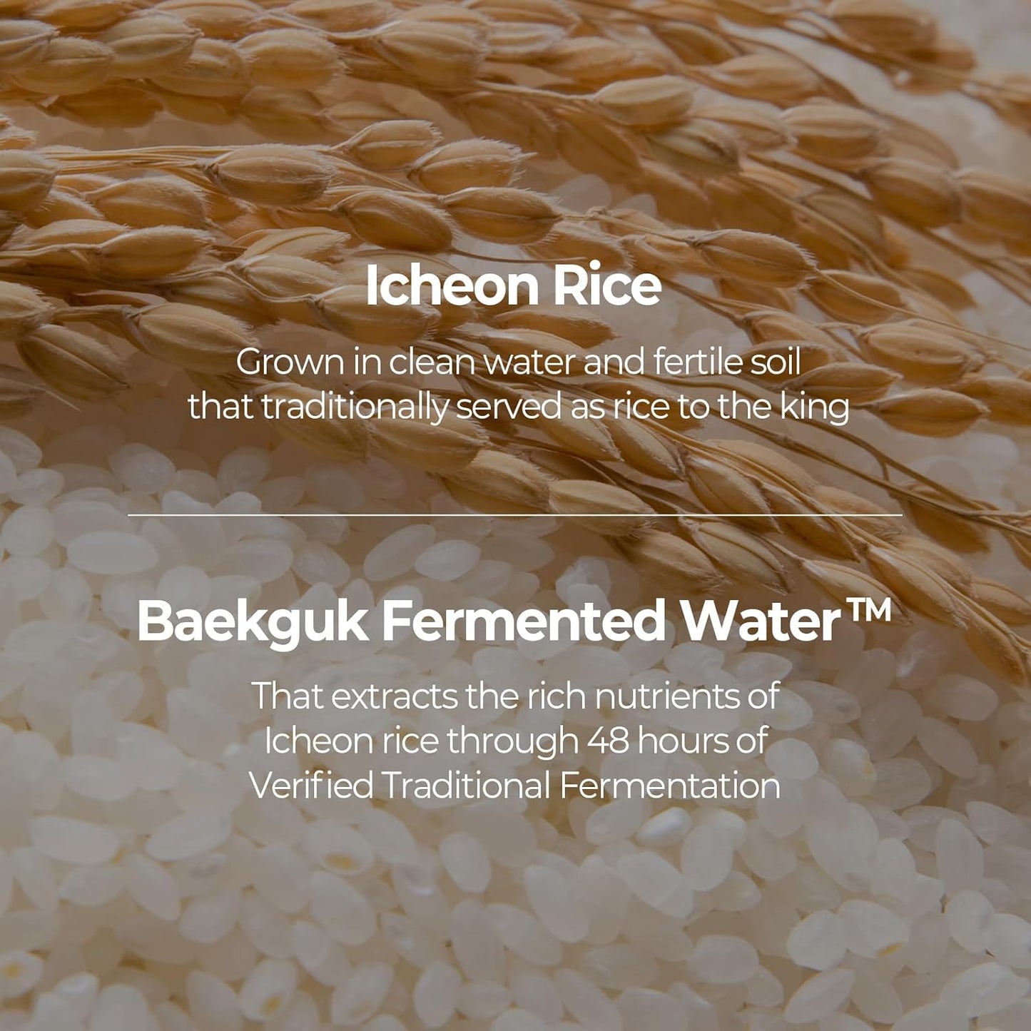 SKINFOOD Rice Daily Sheet Mask, 5-Minute Firming, Nourishing, Hydrating Face Mask for Smooth, Clear, Glass Skin, Korean Skincare, Bulk Pack (30EA)