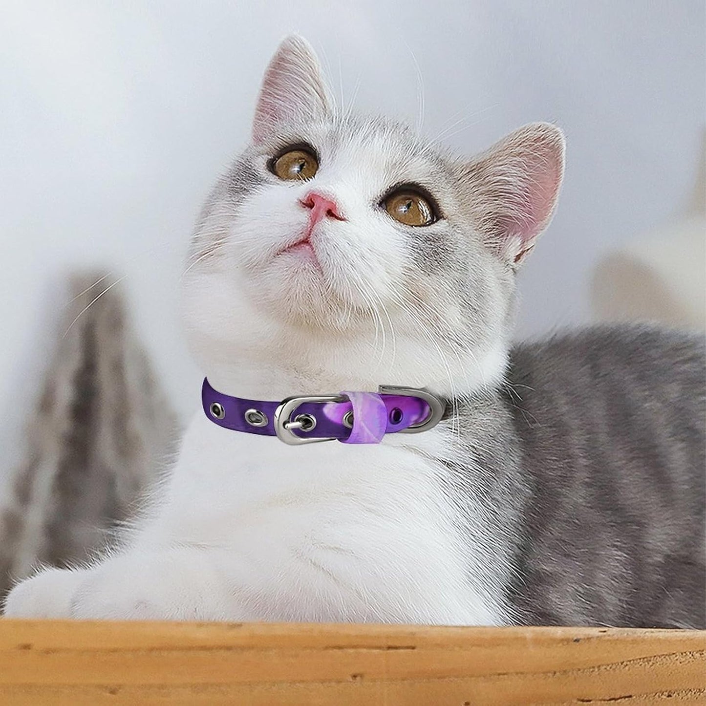 Lovely Purple Dog Collar with Buckle Adjustable Martingale Pet Collars Cute Female Male Puppy Collar Soft Waterproof Cat Collars for Small Medium Dogs