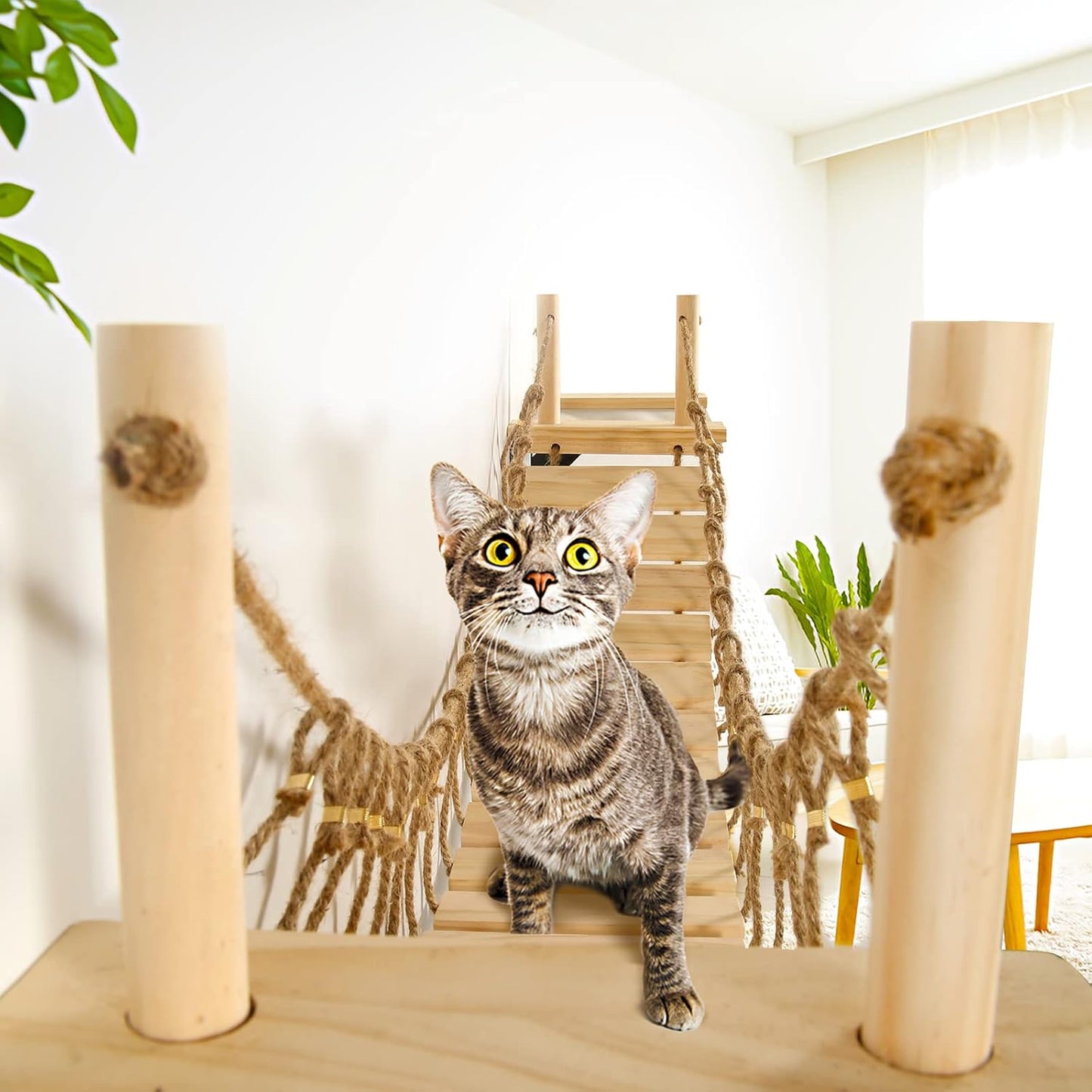 Calmbee Cat Wall Shelves - 70" Cat Bridge Hammock Tree with Mounted Perch & Cloud Shelf