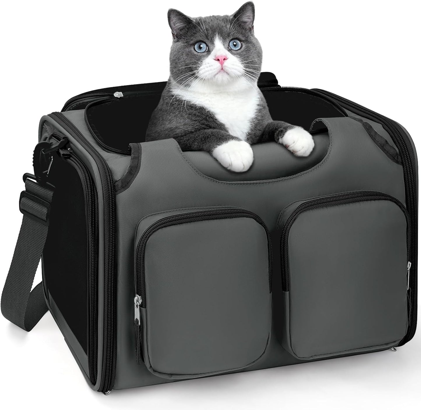 Dog, Cat Carrier for Pets Up to 12 Lbs, Airline Approved Collapsible Soft-Sided Pet Travel Bag with Locking Zippers, Breathable Mesh and 4 Large Pockets, Removable Fleece Pad (Dark Grey)