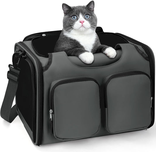 Dog, Cat Carrier for Pets Up to 12 Lbs, Airline Approved Collapsible Soft-Sided Pet Travel Bag with Locking Zippers, Breathable Mesh and 4 Large Pockets, Removable Fleece Pad (Dark Grey)