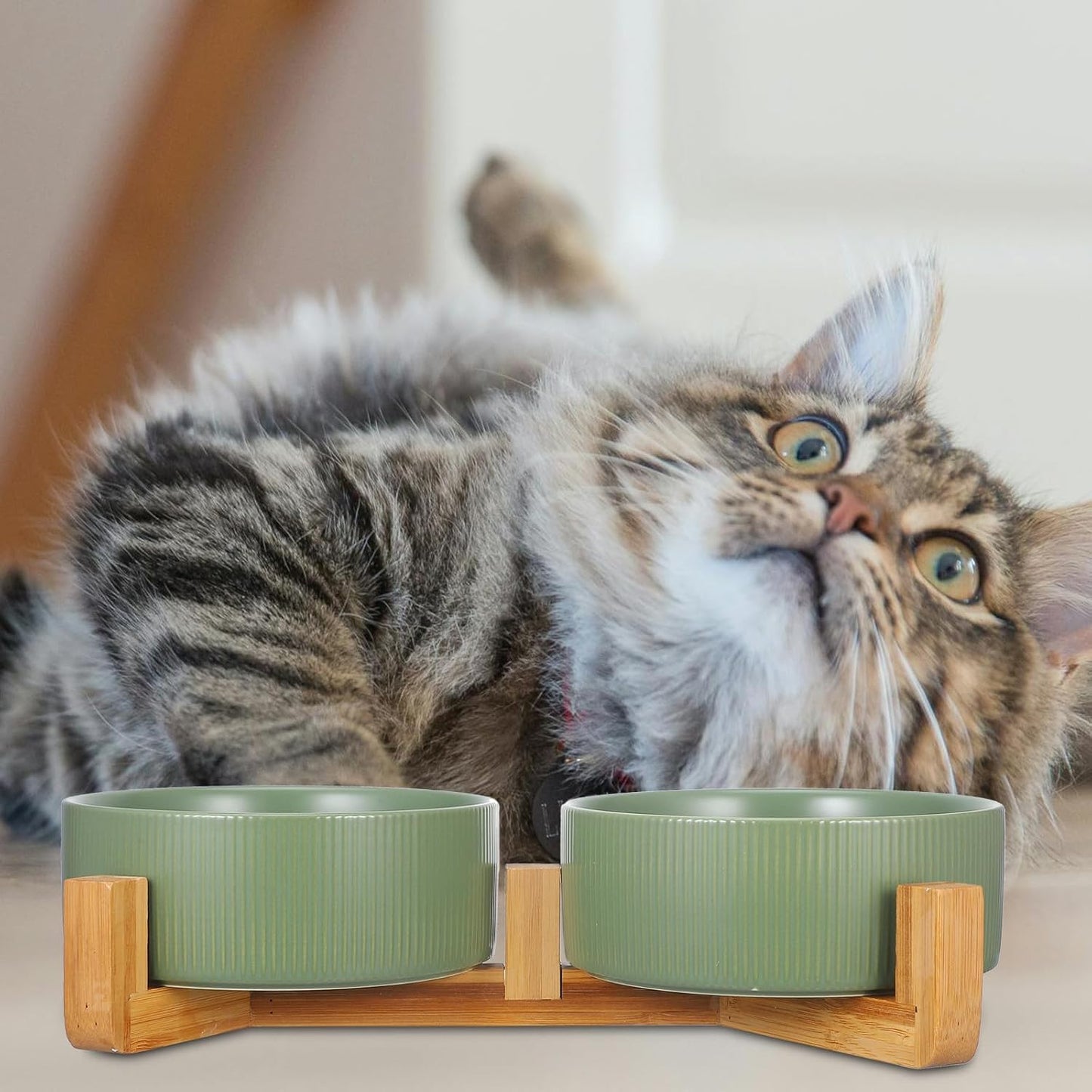 Milisten Ceramic Elevated Cat Feeder with Wooden Stand, 2-Bowl Raised Pet Food and Water Dish, Non-Spill Matte Green Indoor Dog and Cat Bowl Set