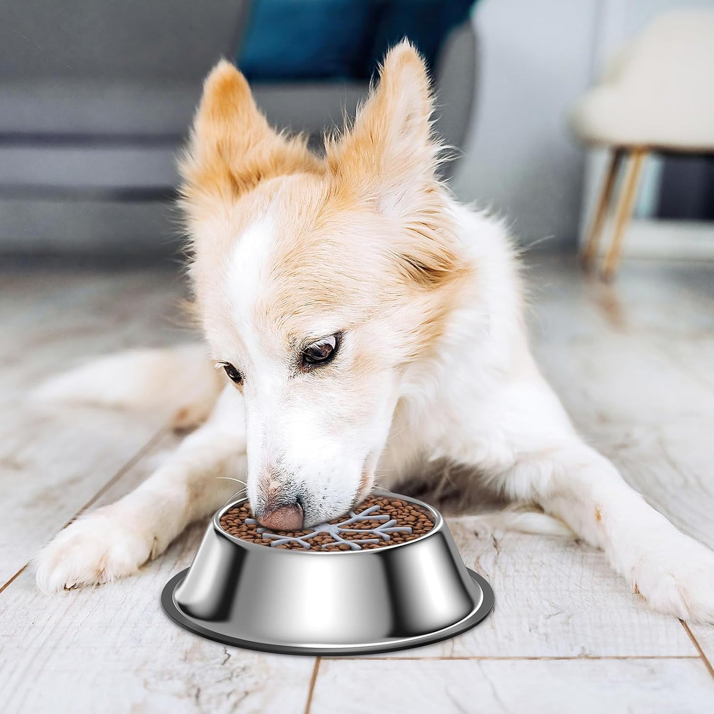 ORIA Slow Feeder Dog Bowl Set, Stainless Steel Dog Food Bowl with Slow Feeder Insert, Pet Water Bowls with Non-Slip Base for Small Medium Breeds, Holds Up to 2 Cups, M