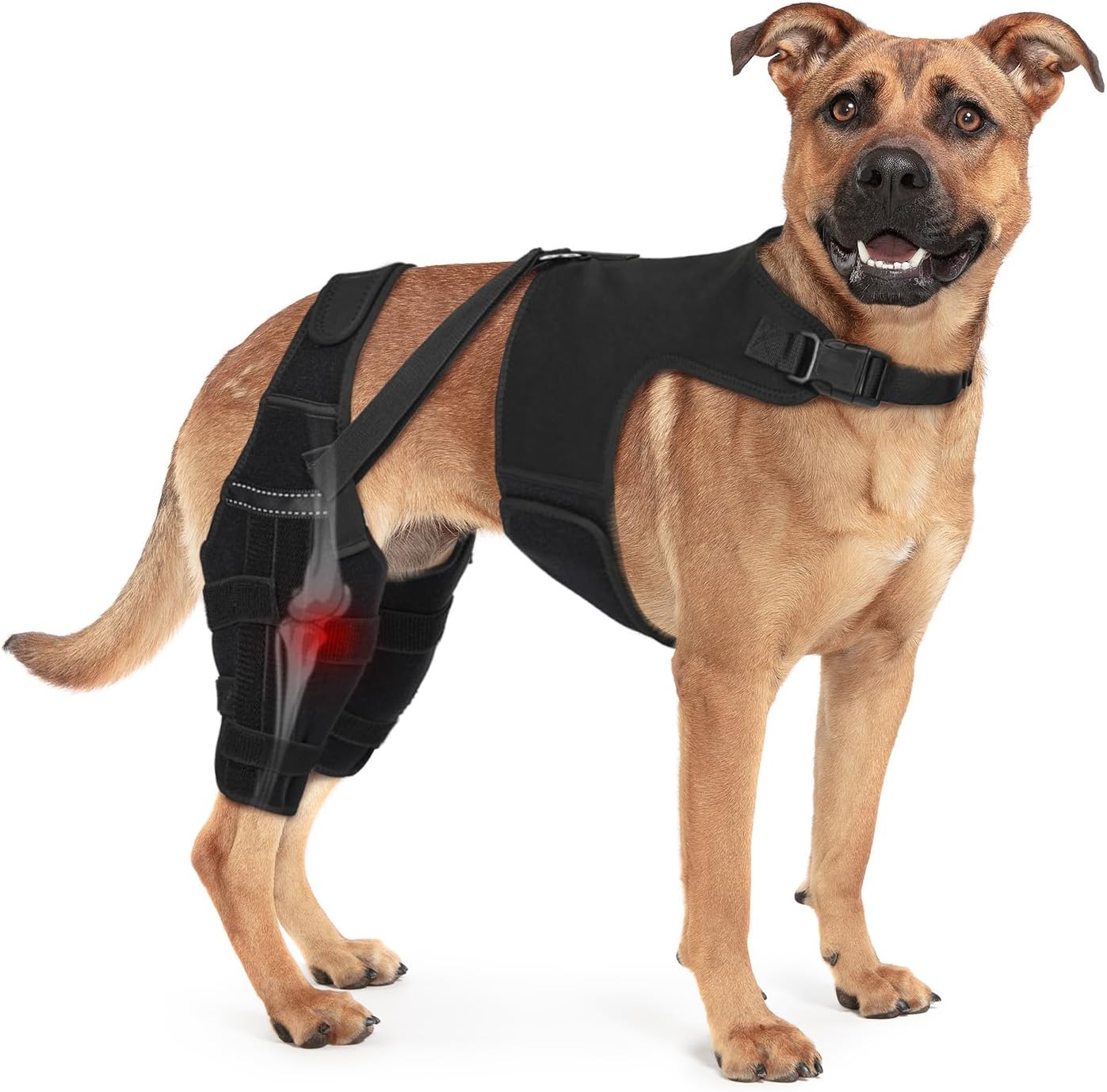 Dog Knee Brace Double Leg Support with Vest - Orthopedic Joint Stabilizer for ACL Tear, Arthritis, Patella Recovery - Adjustable Non-Slip Recovery Brace for Small Middle Large Dogs (Small)