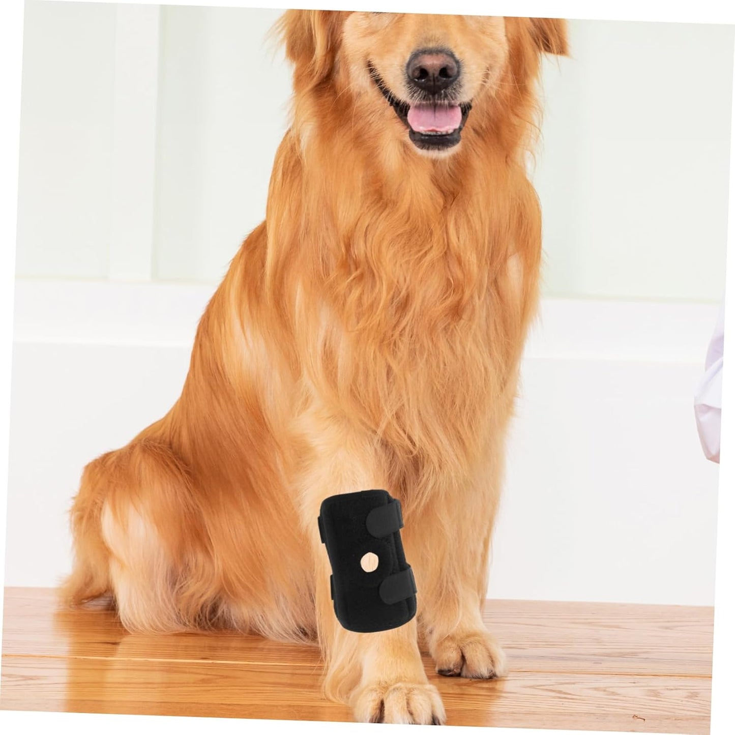 PRETYZOOM Knee Pad for Dogs Adjustable Leg Cover Breathable Neoprene Dog Leg Guard Pet Knee Brace for Large Dogs Joint