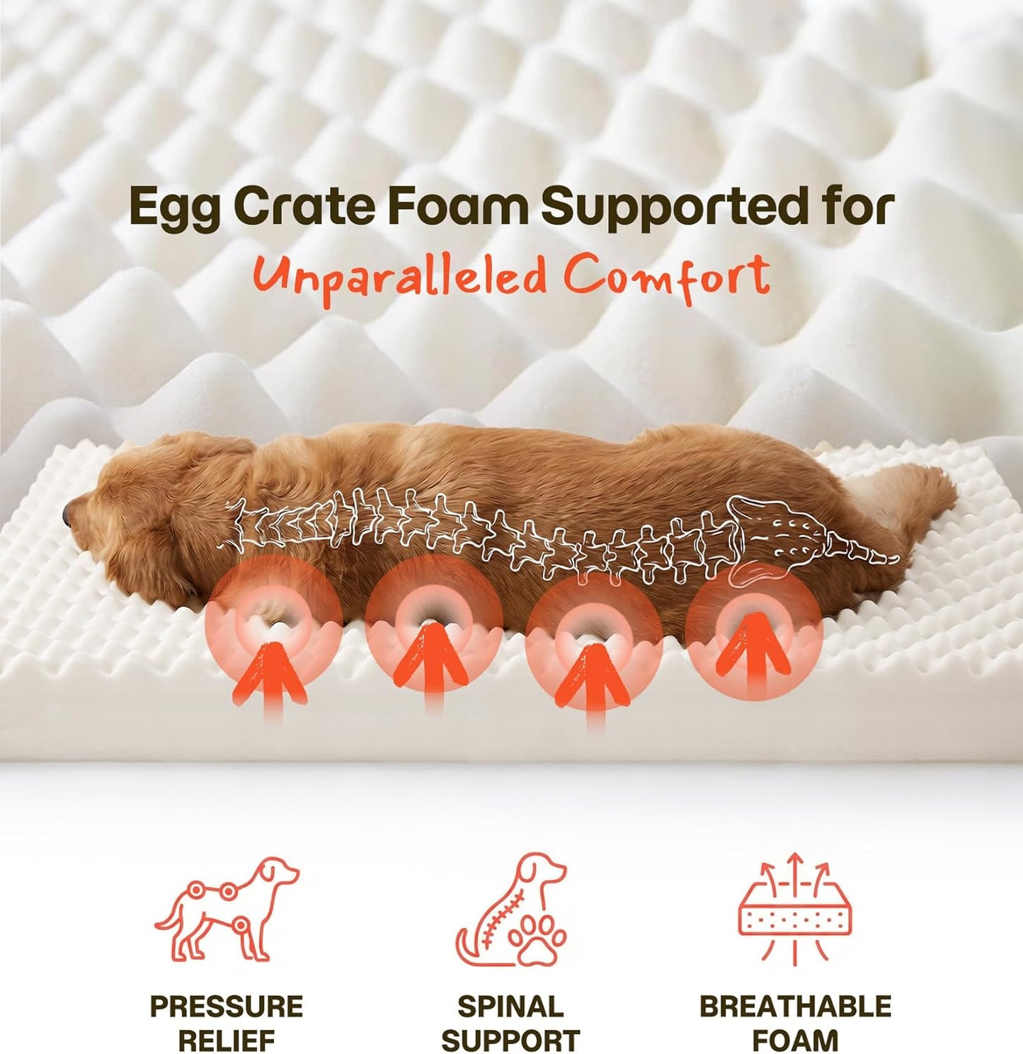 Dog Bed for Crate, Extra Large Cooling Mat for Dogs, Waterproof Dog Bed with Dual Surface Removable Washable Covers, 41 x 27 Inch Pet Bed with Egg Crate Foam