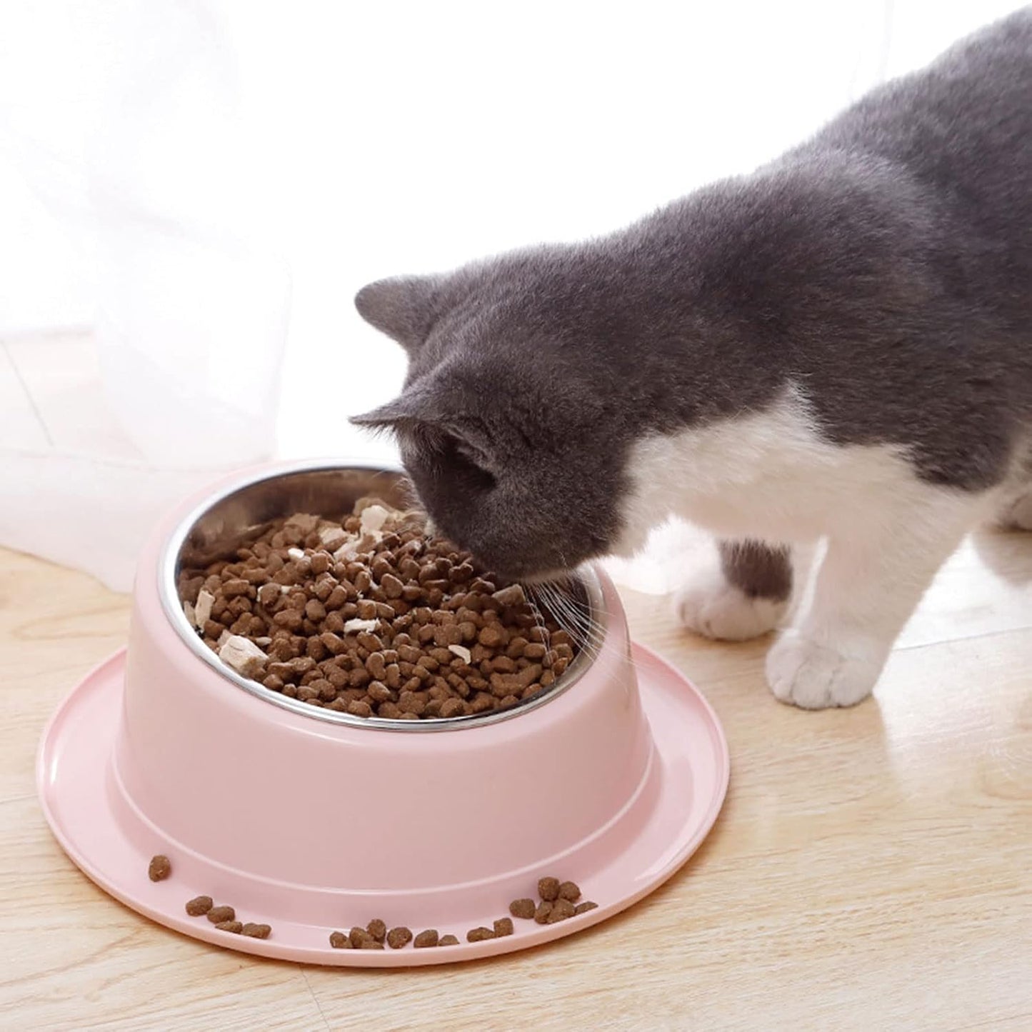 for Cat Food Bowls Elevated for Cat Bowls for Food and Water with Base Stand Bowl 15° Raised Single Bowl