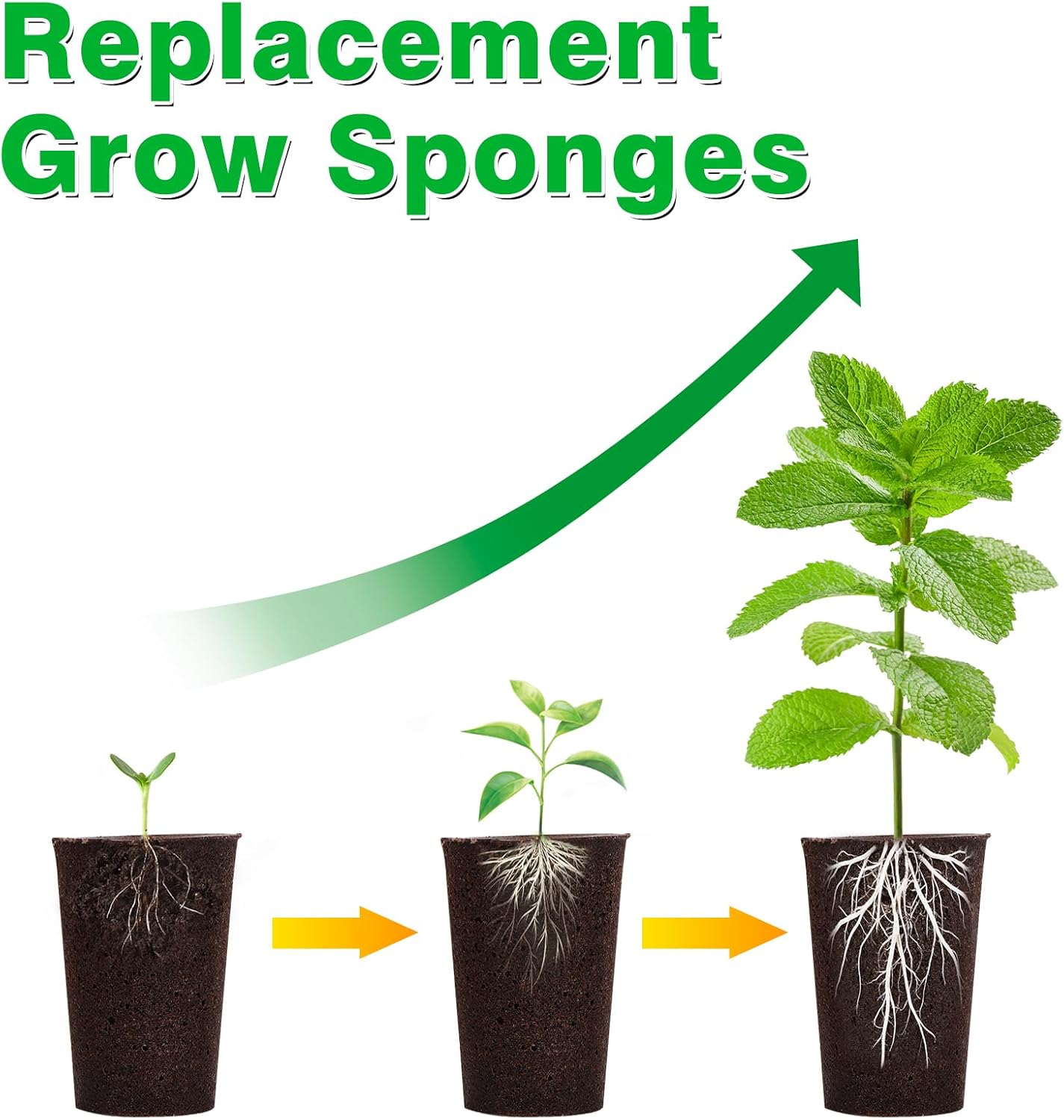 50 Pack Grow Sponges, Large Seed Pods Replacement Sponges, General Hydroponics Rapid Rooter Plugs for Indoor and Outdoor Soil Garden, Seed Germination, Plant Rooting, Vegetable Cultivation