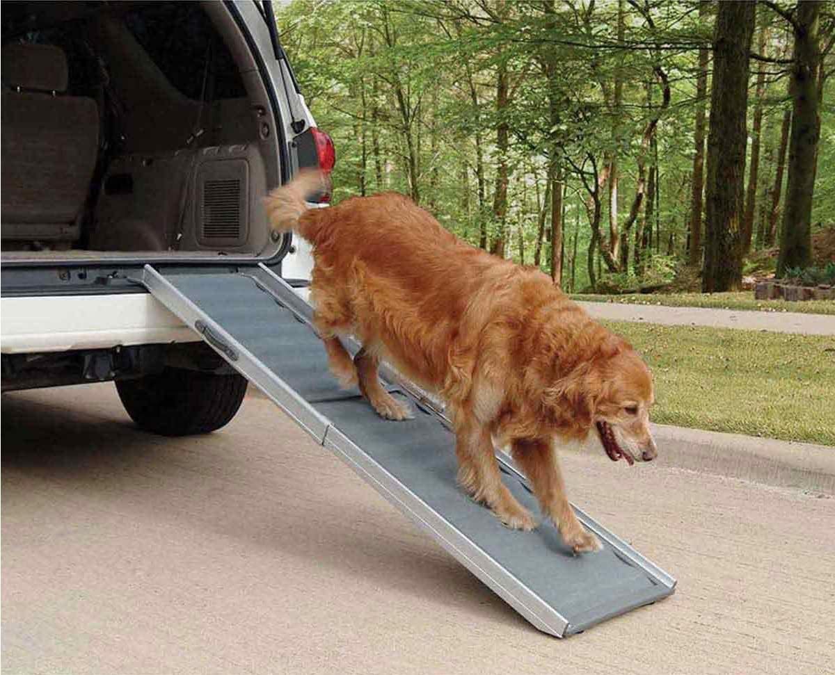 Ramps and Steps for Aging Dogs That Need Assistance - Pets with Limited Mobility (Telescoping Ramp)