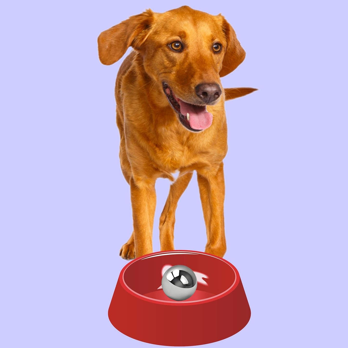 SUS304 Stainless Steel Dog Food Slow Feeder Ball - 2.5in - Slows Fast Eating, Prevents Choking, Bloating & Obesity - Fun Feeding for All Dogs - Durable, Smooth & High Adaptability (Small 2.5Inch)