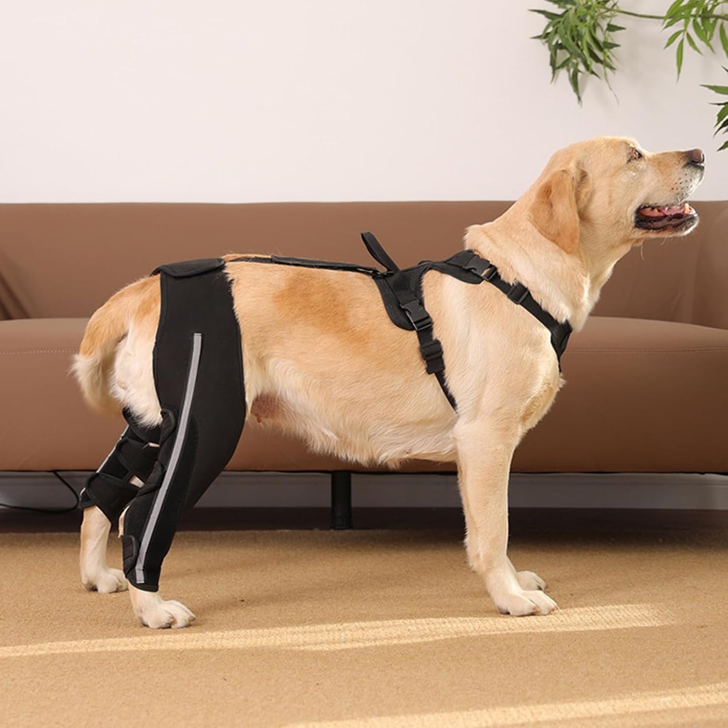 Dog Support Harness for Back Legs - Reflective Strap Lift Harness Sling Carrier,Back Leg Support | for Old Joint Injuries Torn Limping Osteoarthritis Paralysis Walking